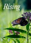 Rising - Dir. by Daeun Kim (USA)